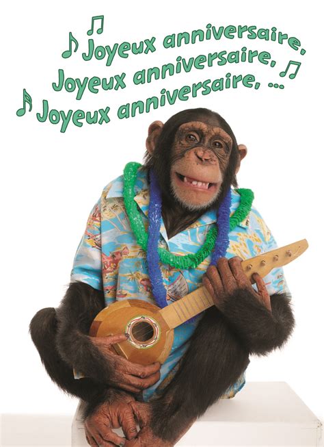 Texte joyeux anniversaire humour – rigolo joyeux anniversaire GIF